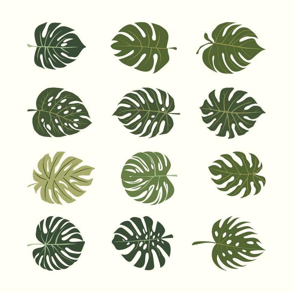 tropical vetor folhas. aguarela floral ilustração. conjunto do exótico folhas. Palma folhas