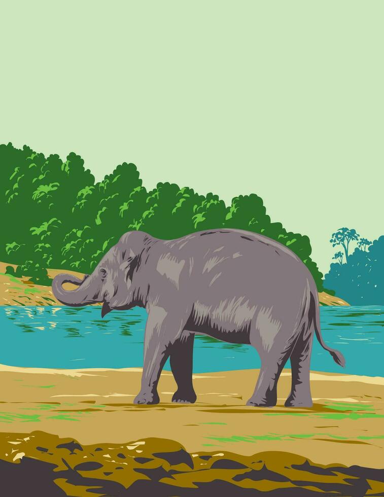 indiano elefante dentro Mahanadi elefante reserva dentro Odisha Índia arte deco wpa poster arte vetor