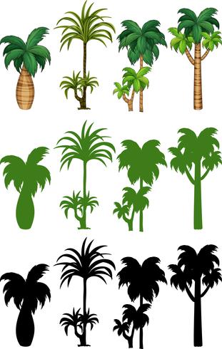Conjunto de design de árvore de palma vetor