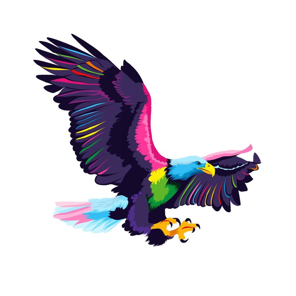 águia careca voando de tintas multicoloridas. respingo de aquarela, desenho colorido, realista. ilustração vetorial de tintas vetor