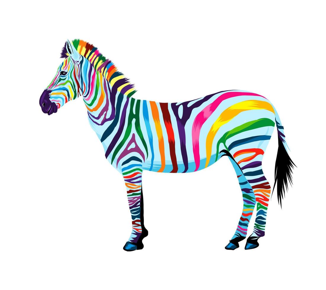 zebra de tintas multicoloridas. respingo de aquarela, desenho colorido, realista. ilustração vetorial de tintas vetor
