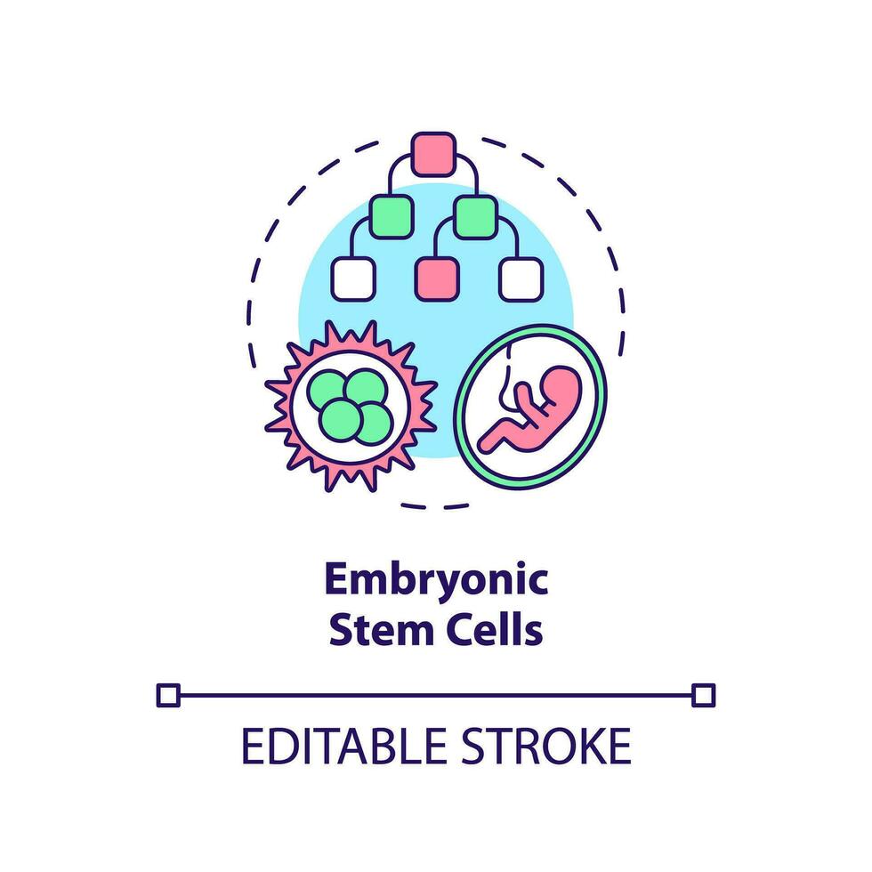 2d editável multicolorido embrionário haste células ícone, simples isolado vetor, fino linha ilustração representando célula terapia. vetor