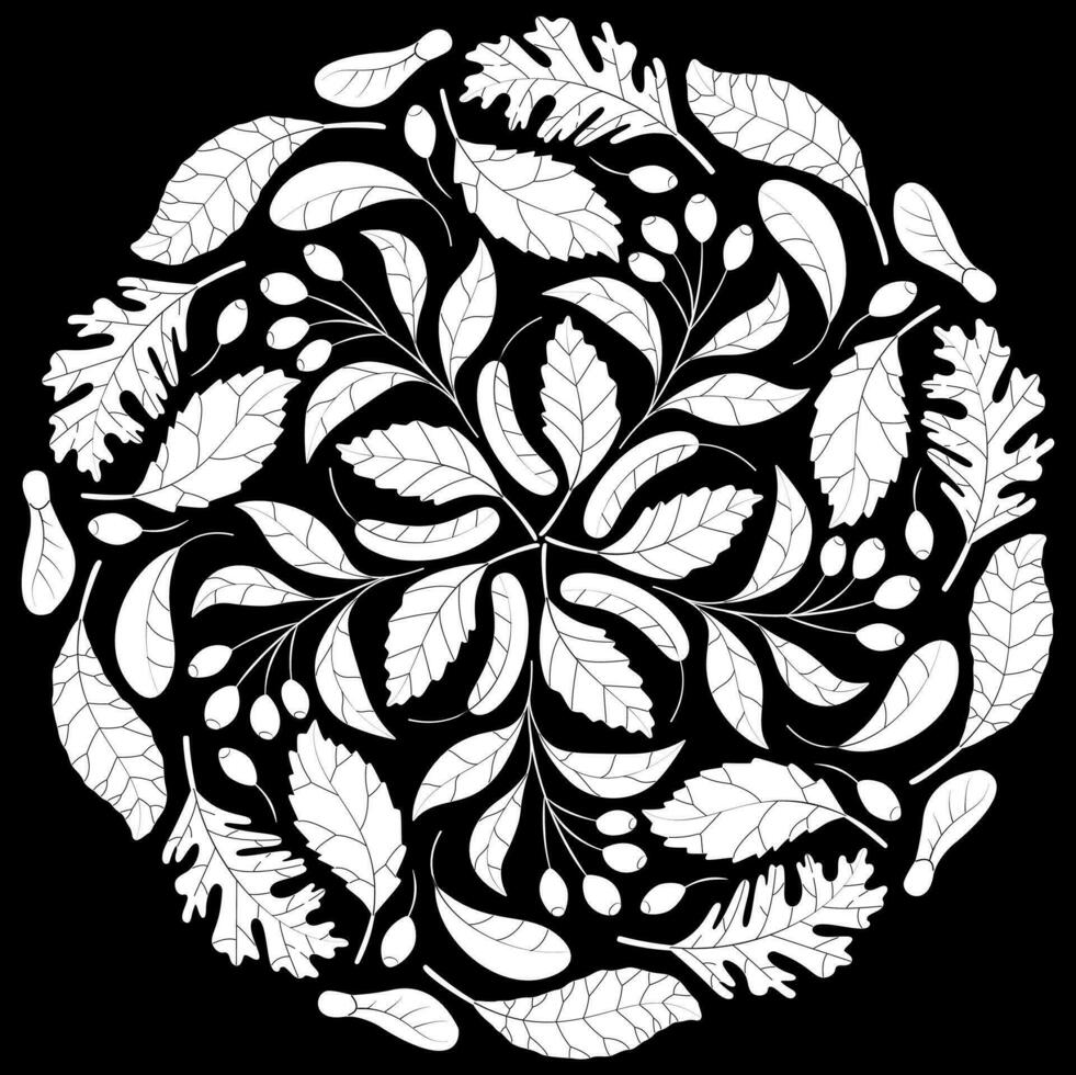 outono mandala com outono folhas em Preto fundo. vetor