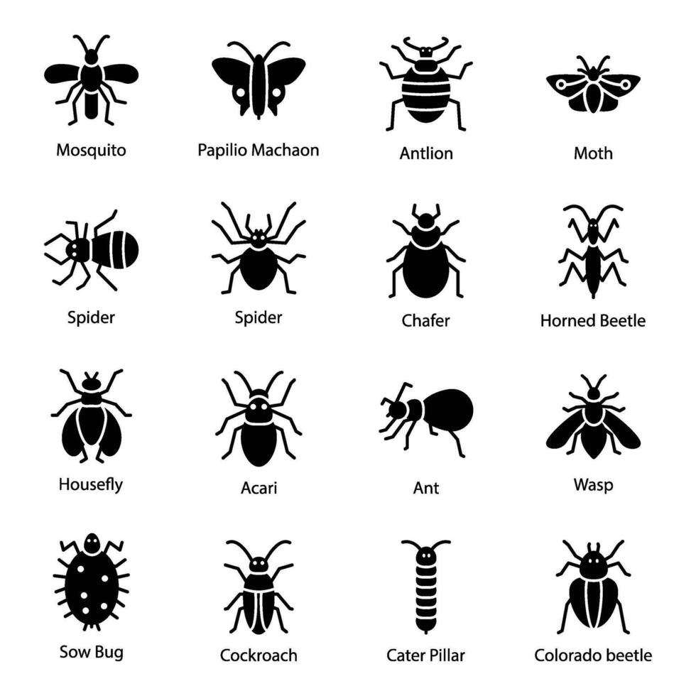 pacote do insetos e mariposas glifo ícones vetor
