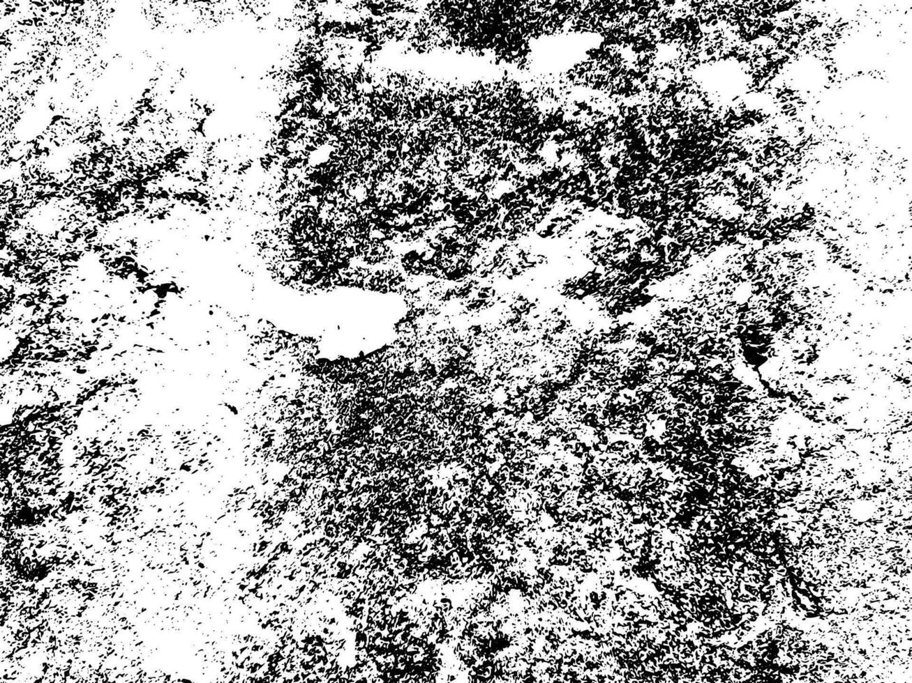 abstrato grunge textura Projeto em uma branco fundo. sujeira textura para a fundo vetor