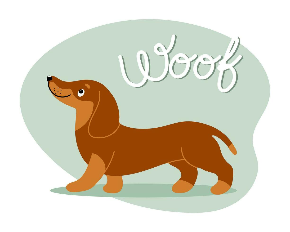 desenho animado engraçado dachshund cachorro e a palavra au. plano estilo ilustração, crianças imprimir, cartão postal, vetor
