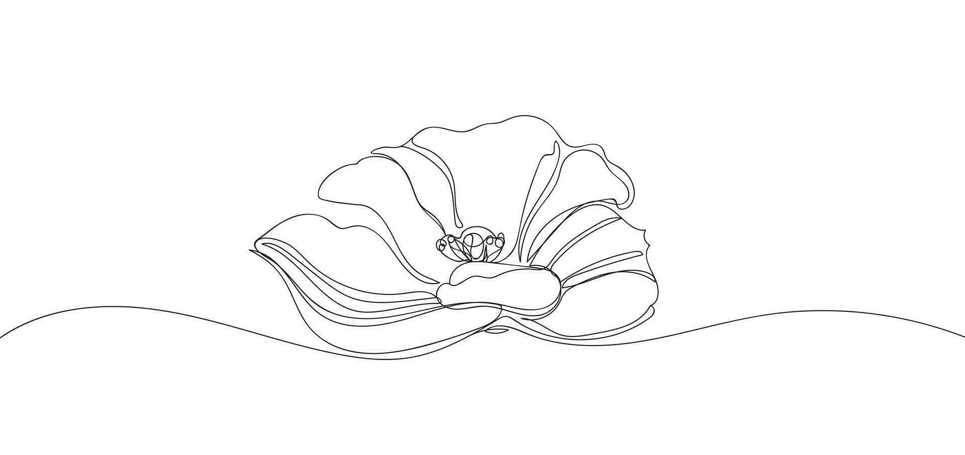 flor dentro solteiro contínuo linha desenhando estilo para logotipo ou emblema. 1 linha botânico ilustração. contorno desenhando do papoula flor vetor