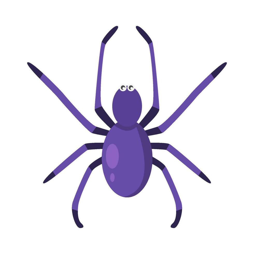 aranha animal ilustração vetor