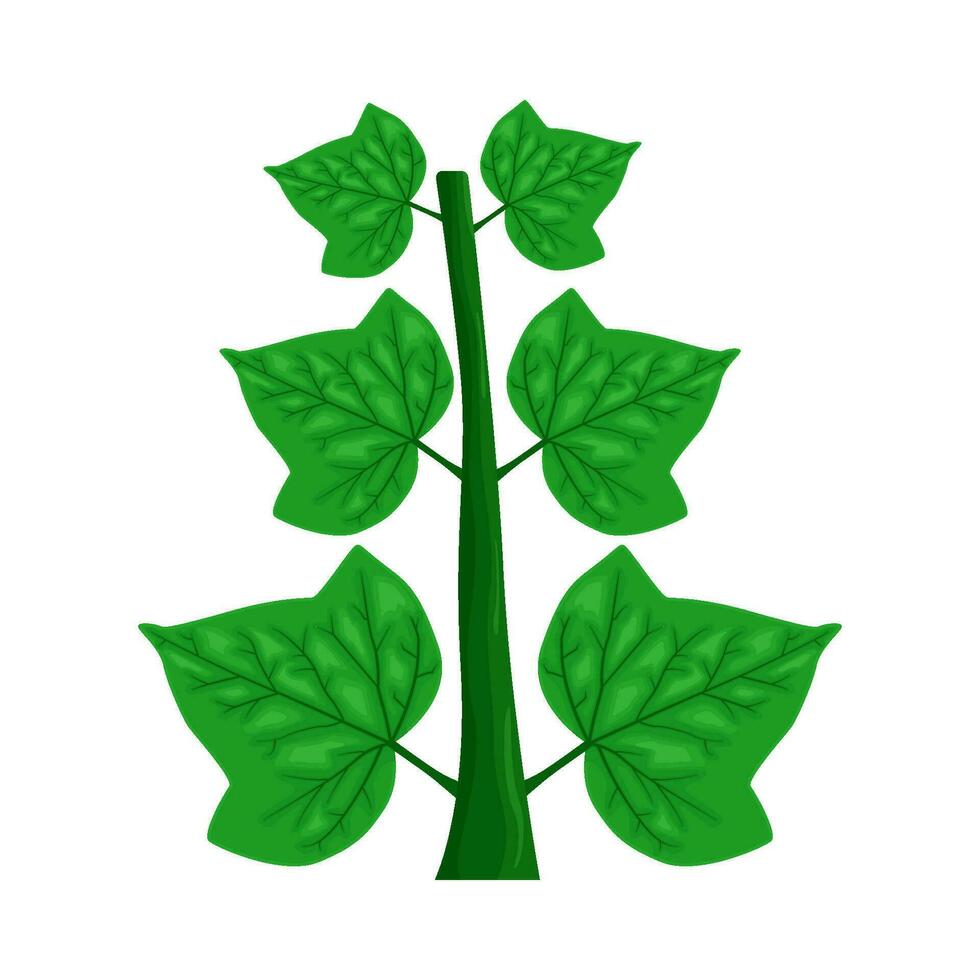 folha plantar verde ilustração vetor
