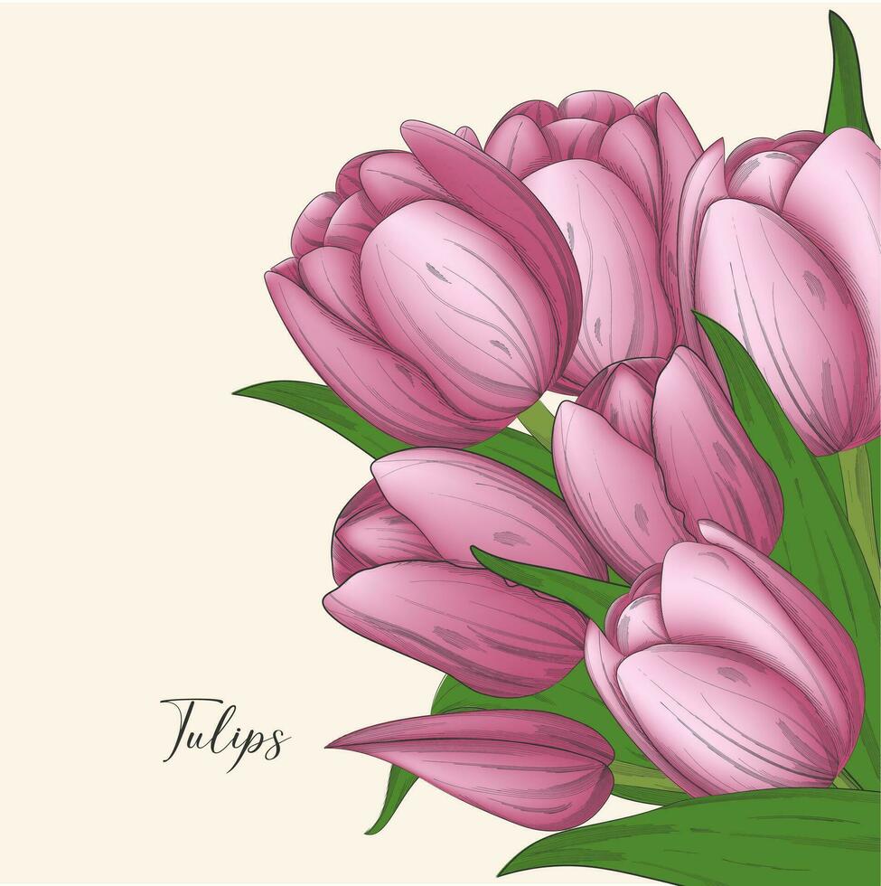 mão desenhado Primavera floral bandeira. colorida Rosa tulipa. Boa para páscoa, mulheres dia, dia dos namorados cumprimento cartões, venda folheto, Casamento convites. vetor