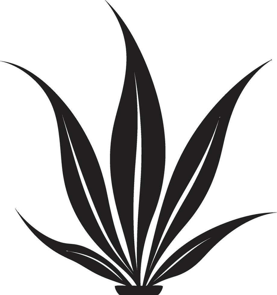 aloés esplendor vetor Preto plantar emblema botânico harmonia aloés vera Preto ícone
