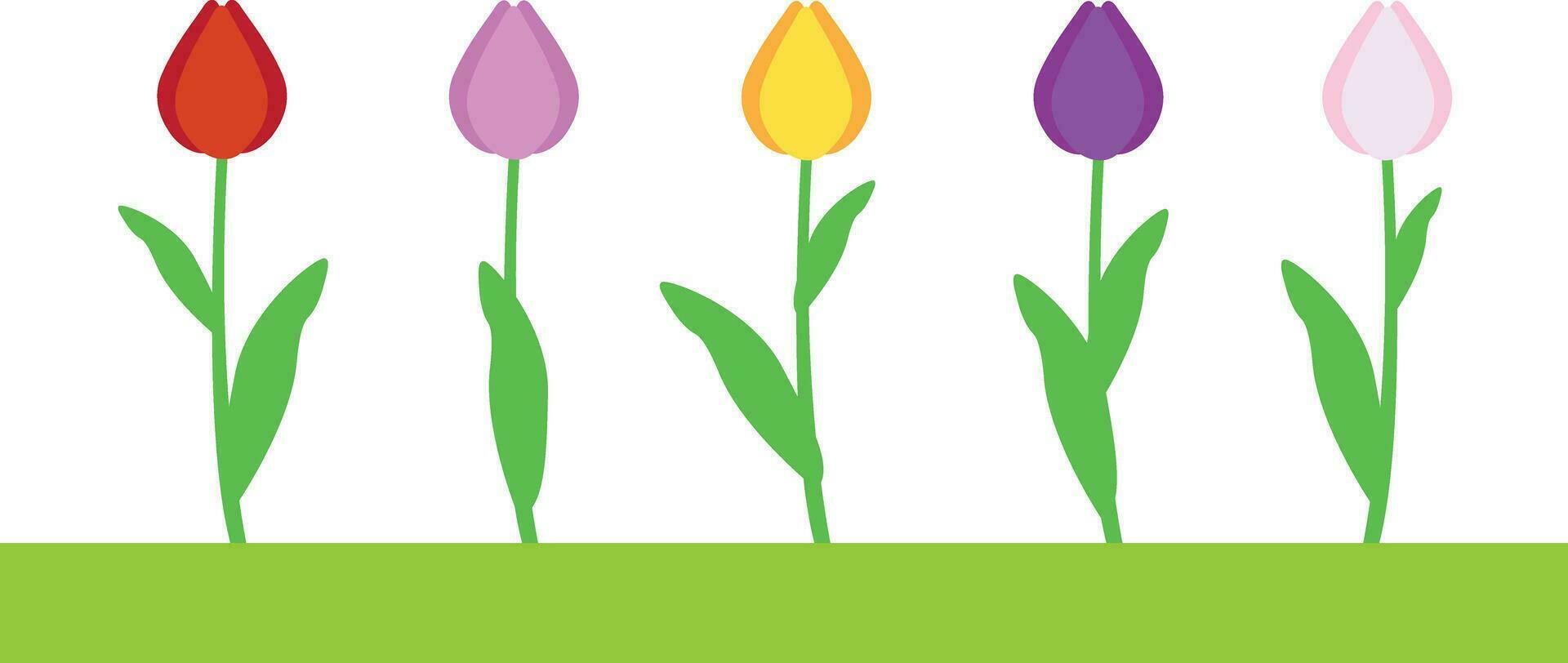 tulipa flores em haste com folhas ilustração conjunto com diferente Flor forma dentro cores vetor