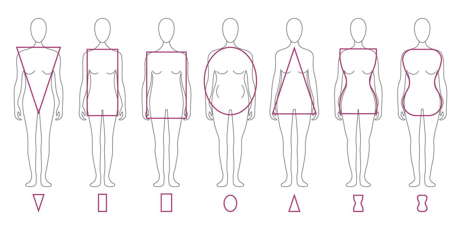 conjunto do diferente tipos do fêmea figuras. fêmea corpo tipos com geométrico formas. vetor