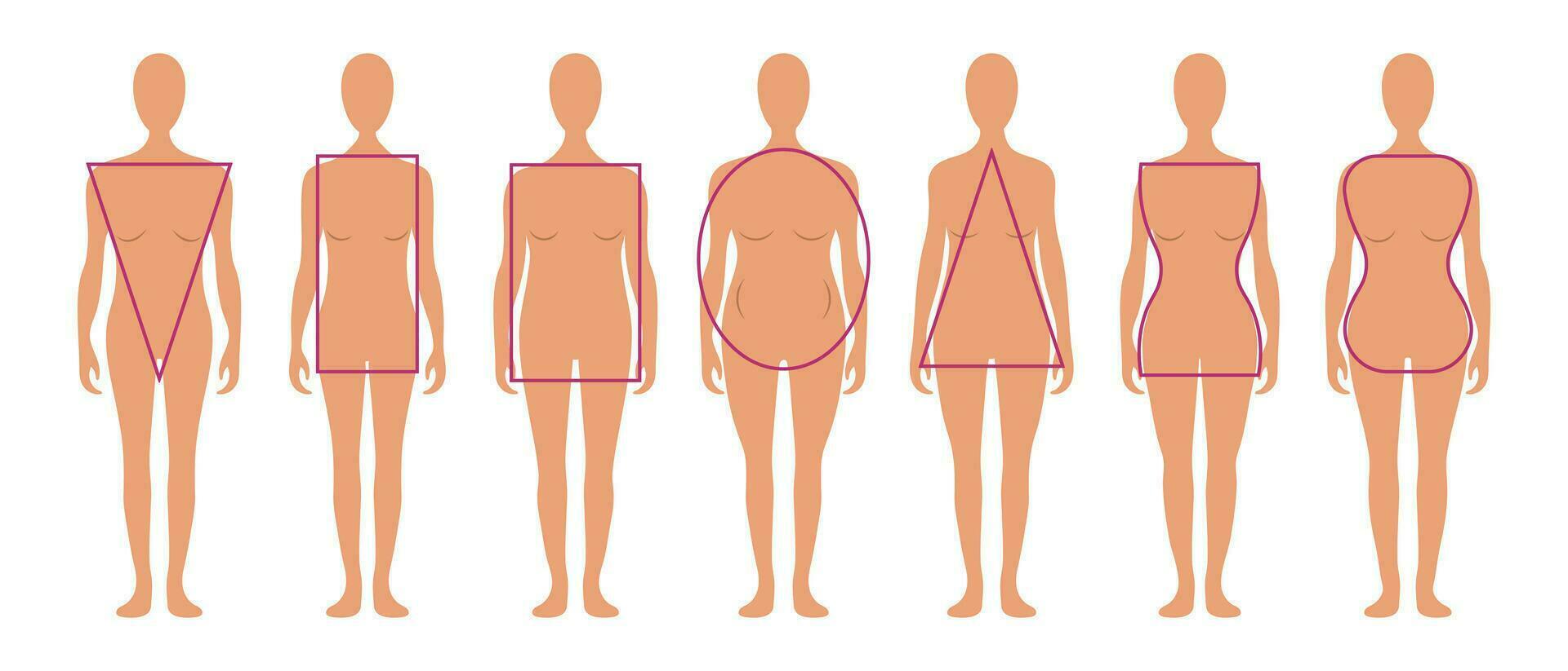 conjunto do diferente tipos do fêmea figuras. fêmea corpo tipos com geométrico formas. vetor