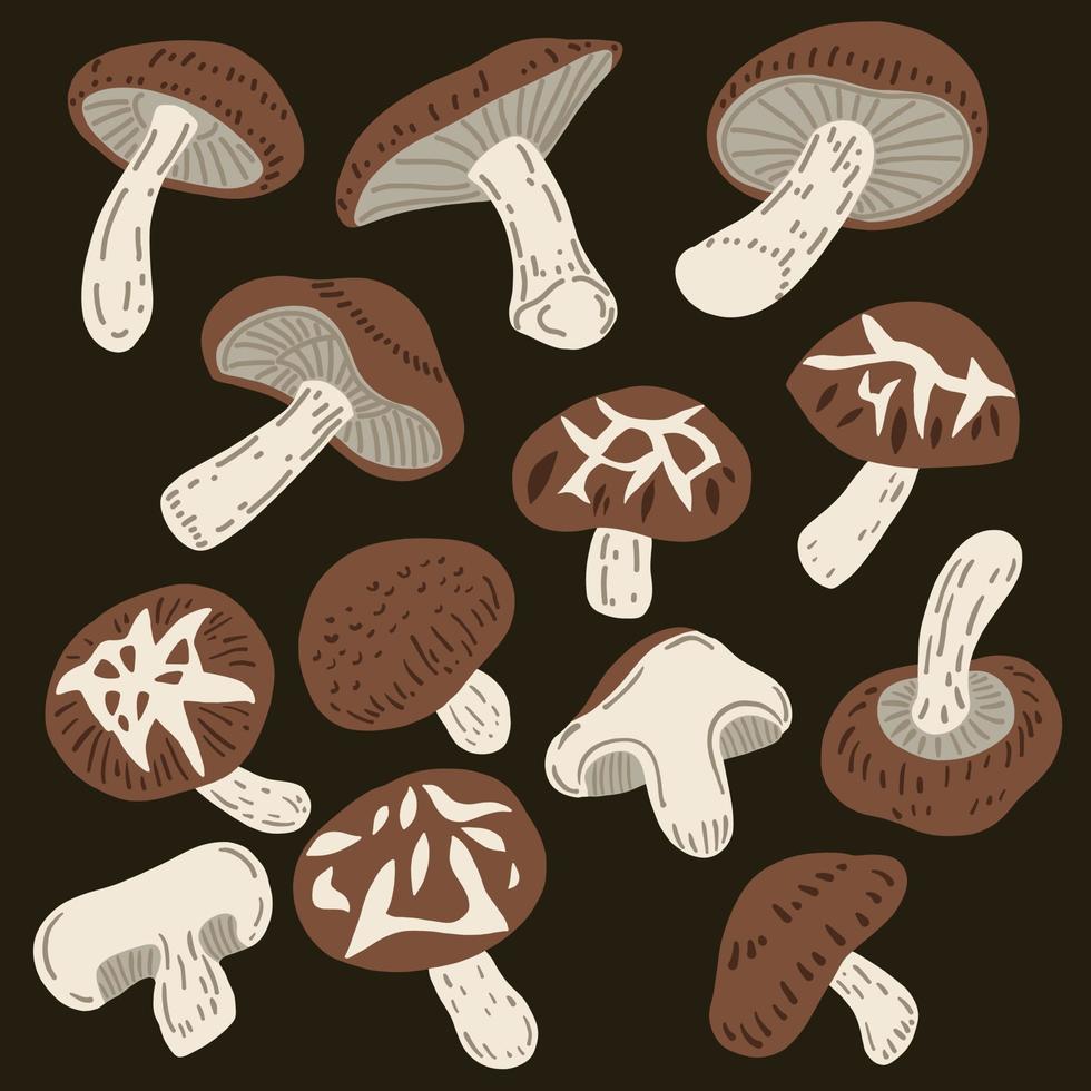 doodle desenho de esboço à mão livre de vegetal de cogumelo shiitake. vetor