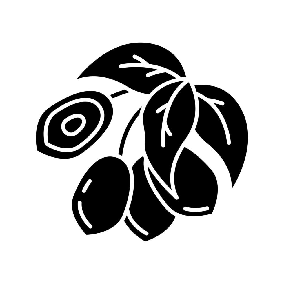 ícone de glifo preto de jojoba vetor