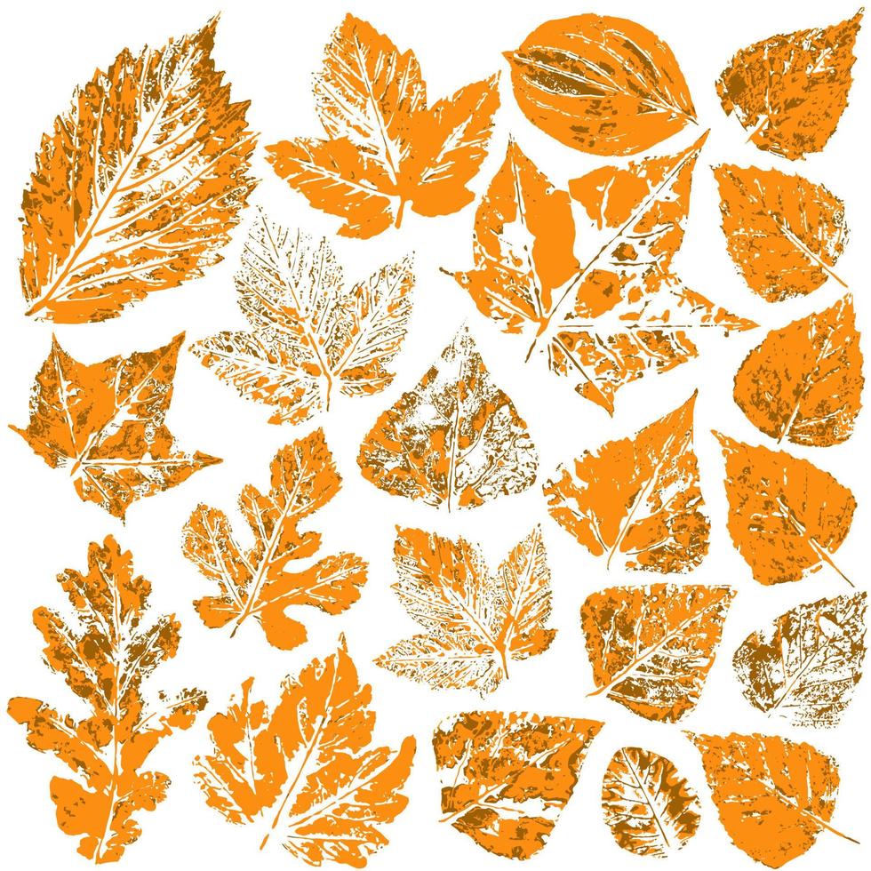 conjunto de desenhos vetoriais com tintas acrílicas. coleção de folhas de outono vetor