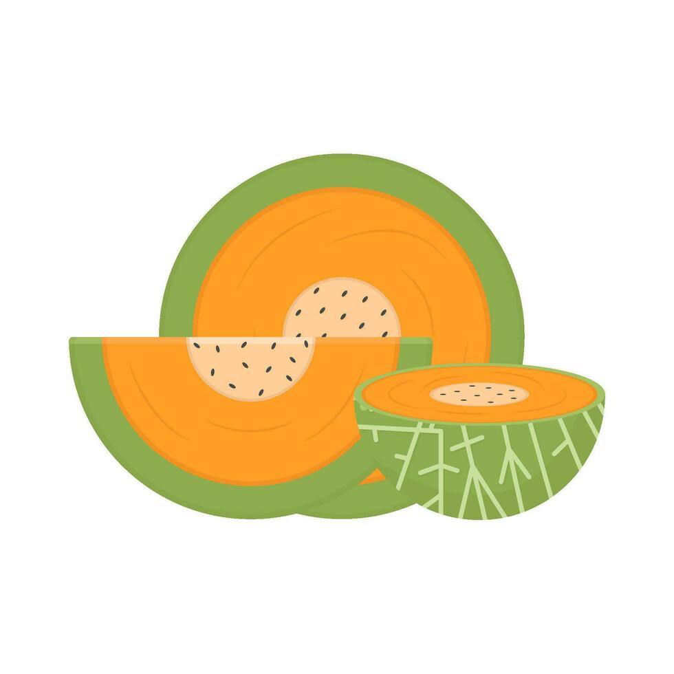 Cantalupo fatia fruta ilustração vetor