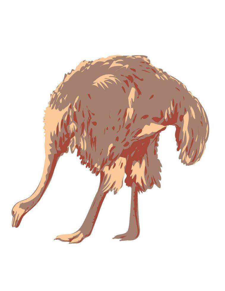 comum avestruz ou somali avestruz lado Visão isolado arte deco wpa poster arte vetor