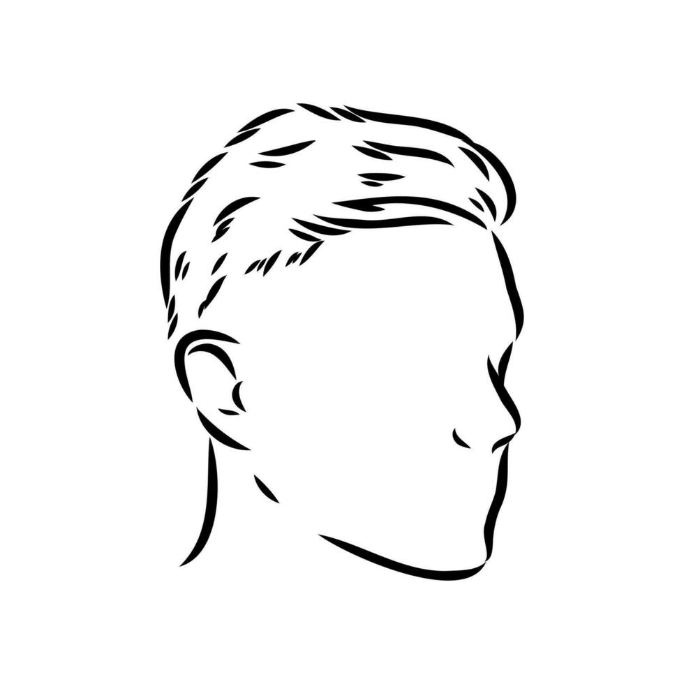 masculino Penteado vetor esboço