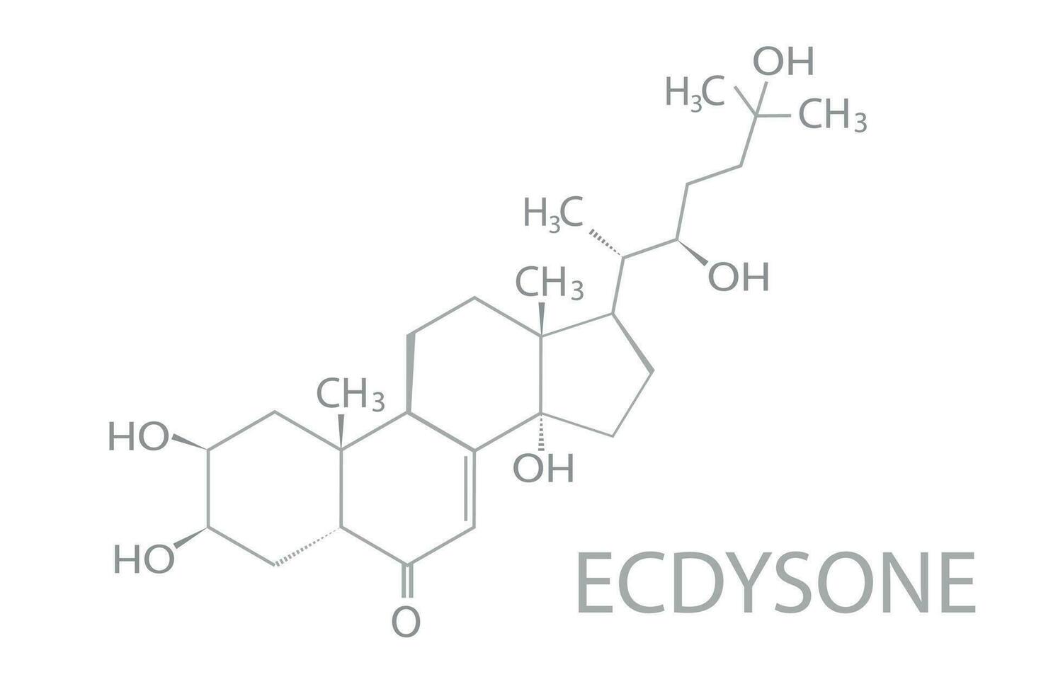 ecdisona molecular esquelético químico Fórmula vetor