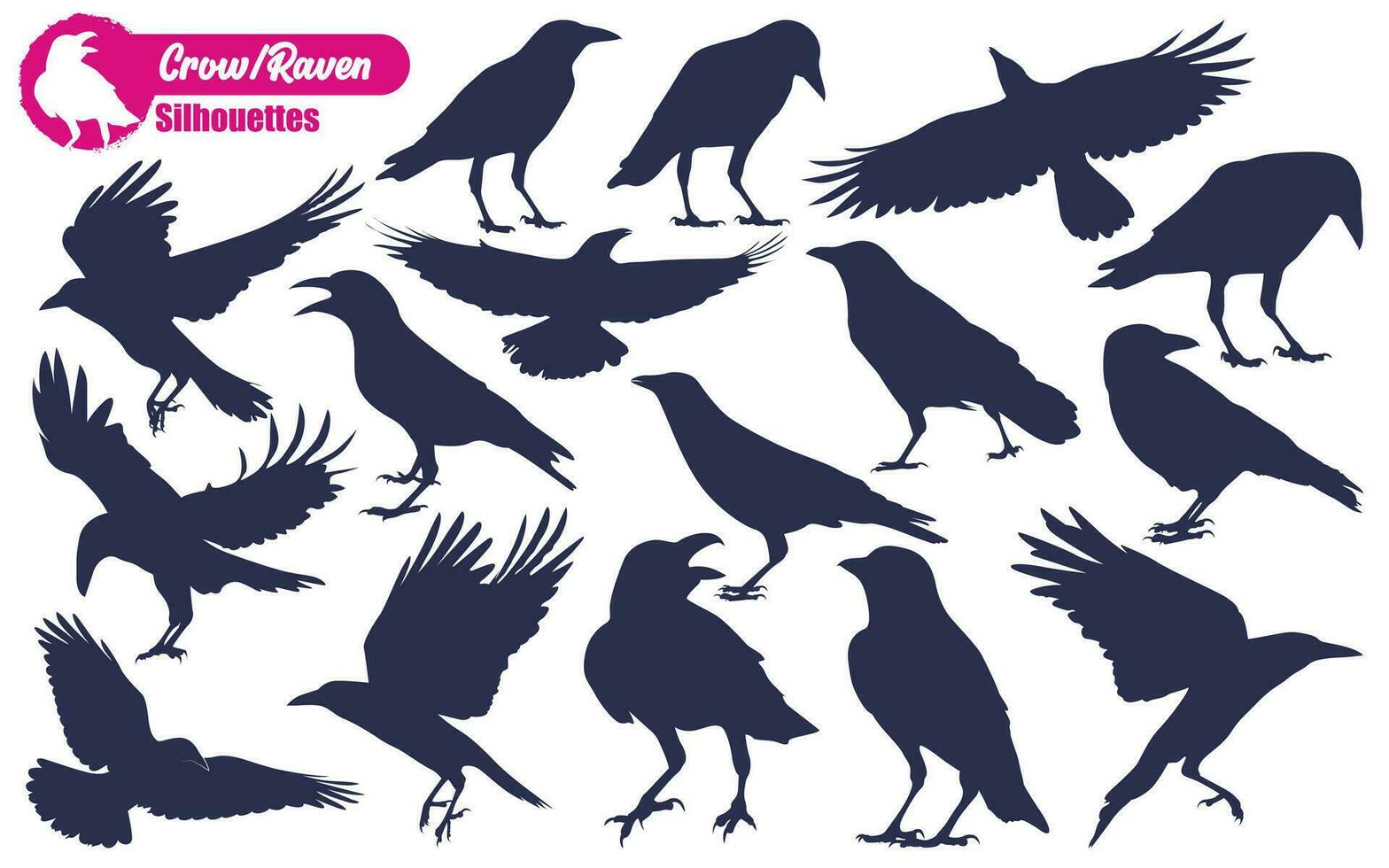 vôo Corvo ou Raven silhuetas vetor