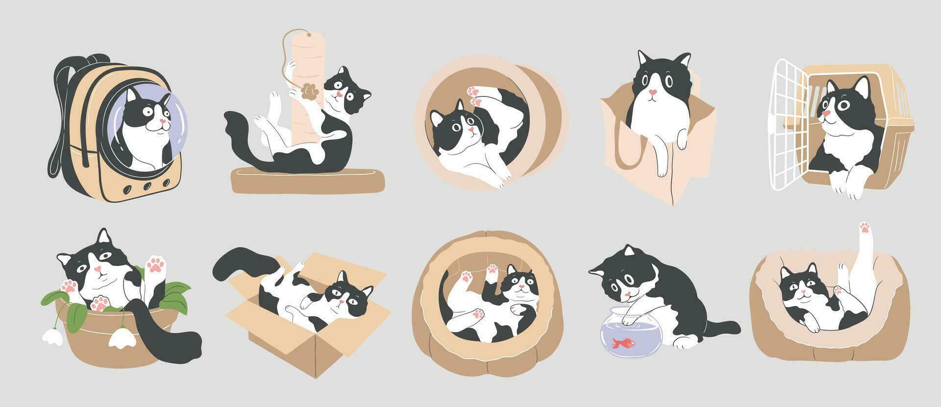 conjunto do desenho animado de brincadeira curioso smoking gato, gato comportamento, animal personagem Projeto com plano cores dentro vários poses, isolado vetor ilustração.