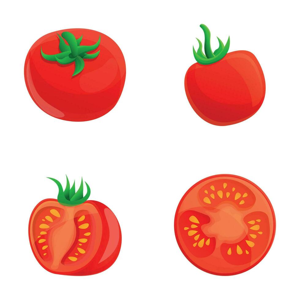 fresco tomate ícones conjunto desenho animado vetor. maduro vermelho tomate vetor