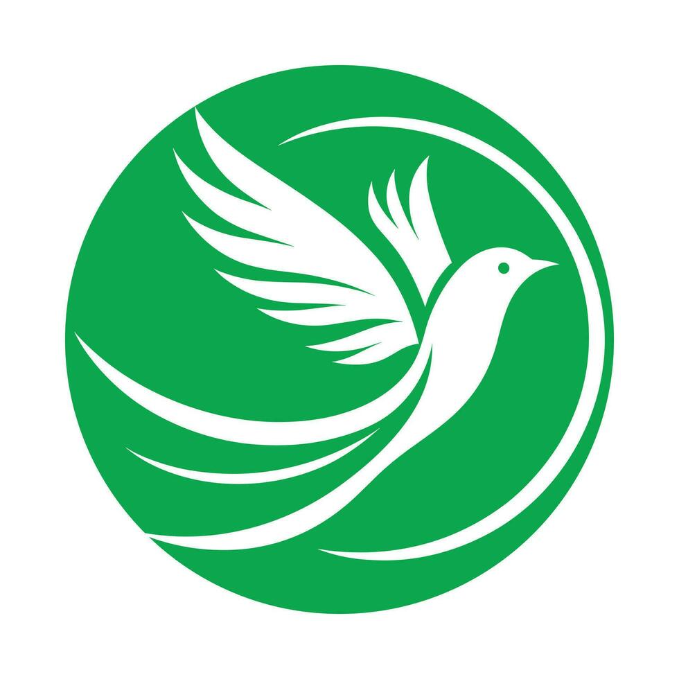 ilustração vetorial de design de logotipo de pássaro vetor