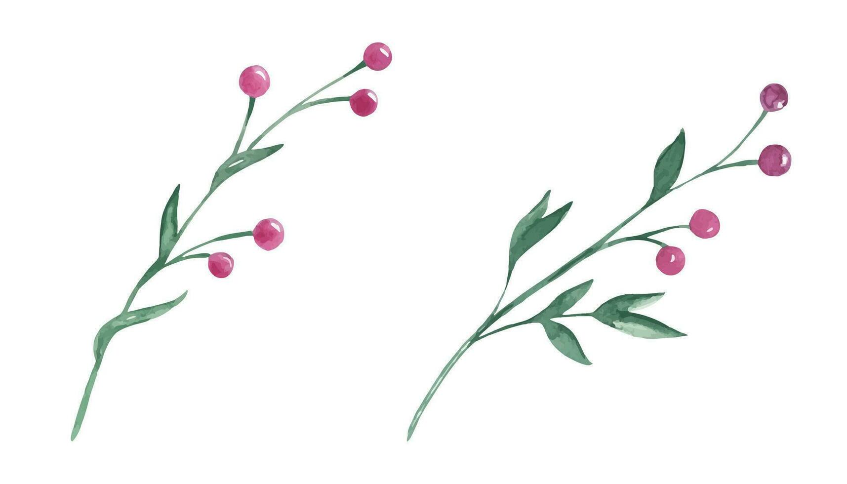 conjunto do dois aguarela abstrato vegetação galhos com vermelho bagas. botânico ilustração em uma branco fundo. para cumprimento cartões, floral Projeto. vetor