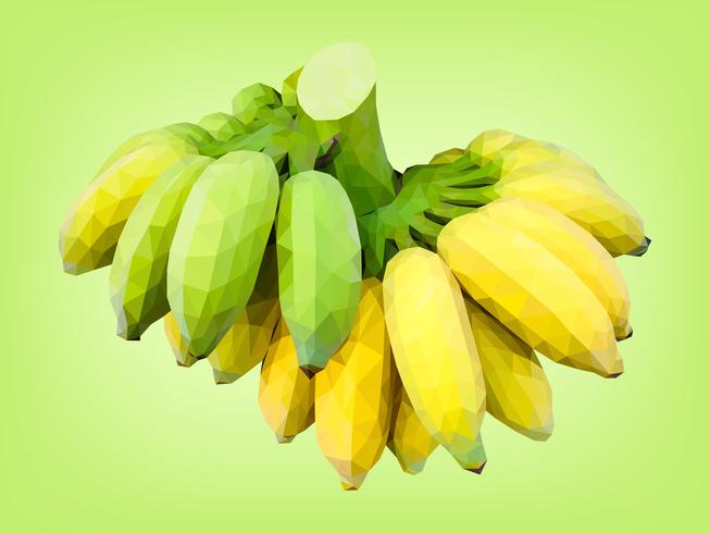 Banana cultivada meio madura e imatura vetor