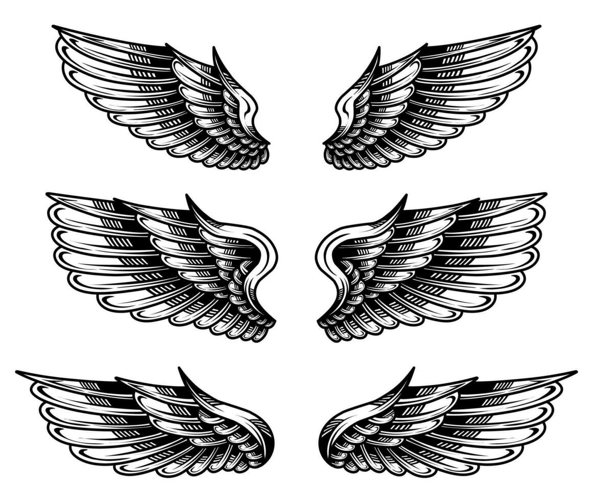 vetor conjunto do vintage anjo asas tatuagens