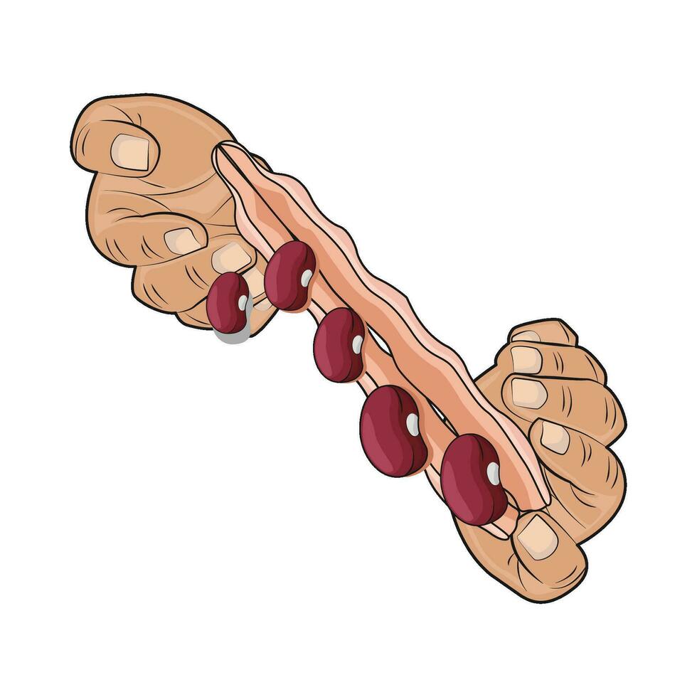 ilustração do vermelho feijão vetor