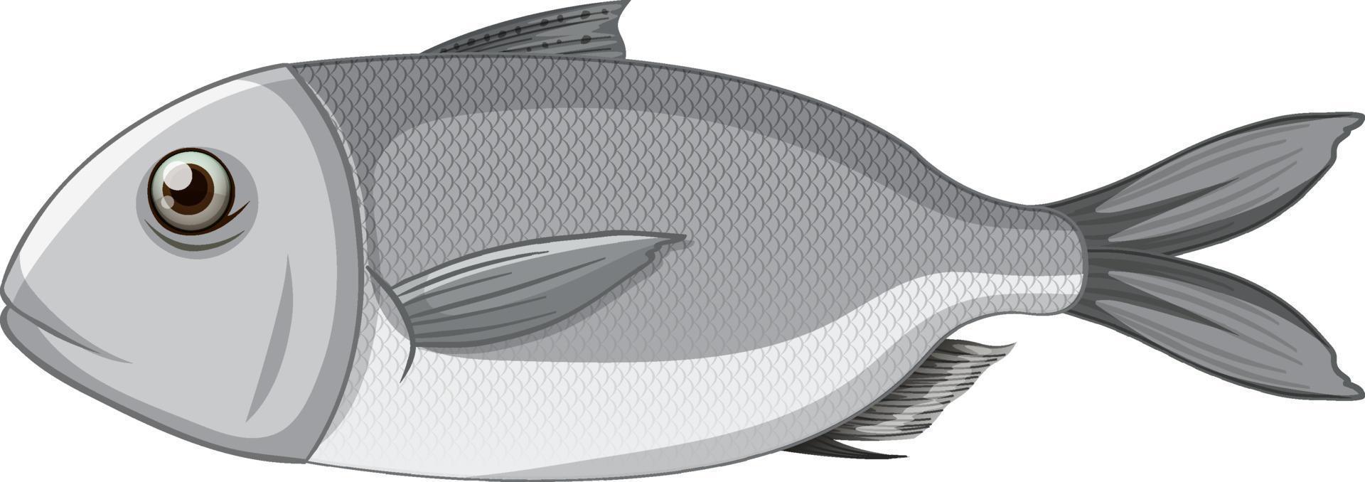 estilo simples de desenho animado de peixe isolado vetor