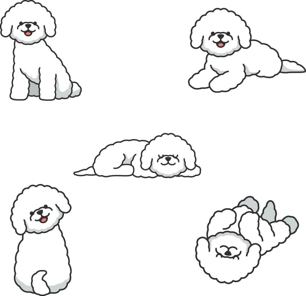 bichon cachorro conjunto ícones dentro desenho animado estilo. grande coleção do bichon cachorro vetor símbolo estoque ilustração