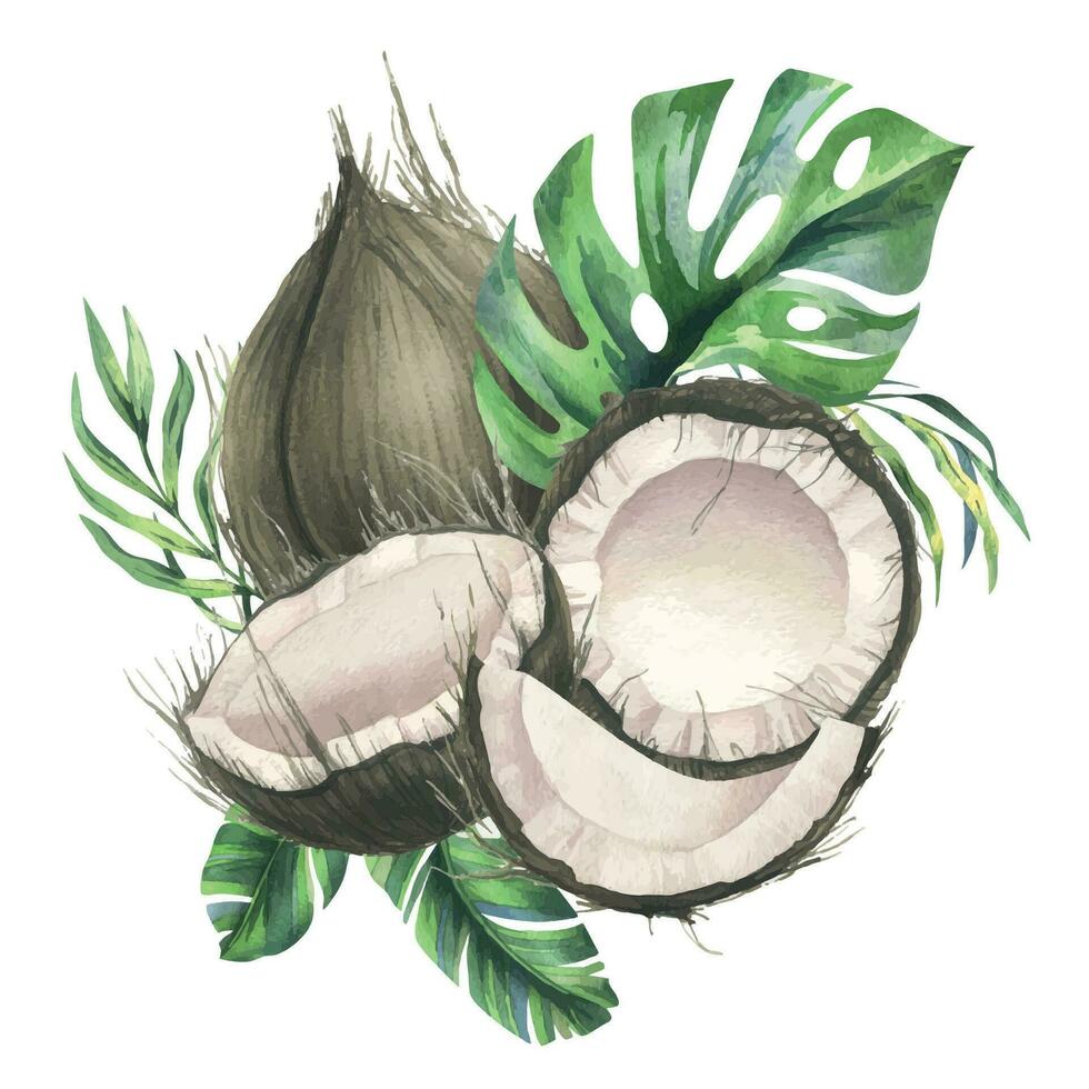 cocos todo, metades e peças com brilhante, verde, tropical Palma folhas. mão desenhado aguarela ilustração. pré-fabricado composição isolado a partir de a fundo vetor