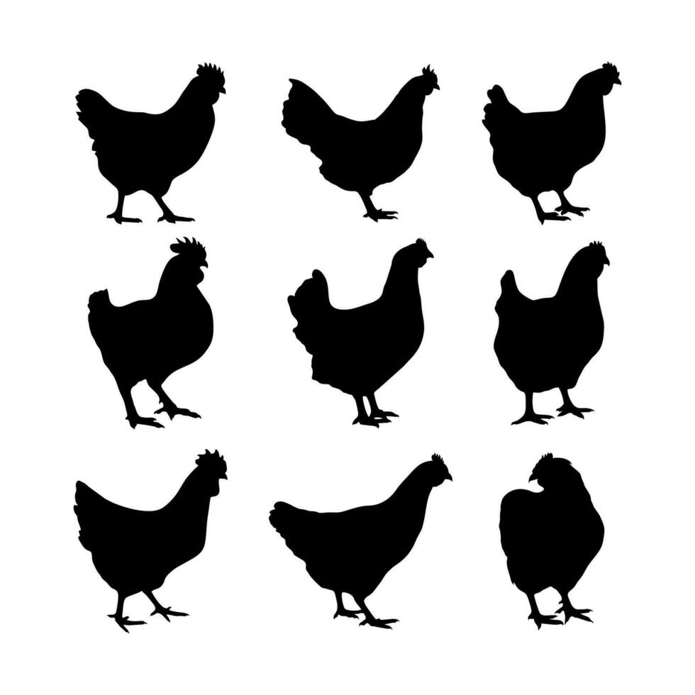frango silhueta ou galinha silhuetas vetor ilustração pacote