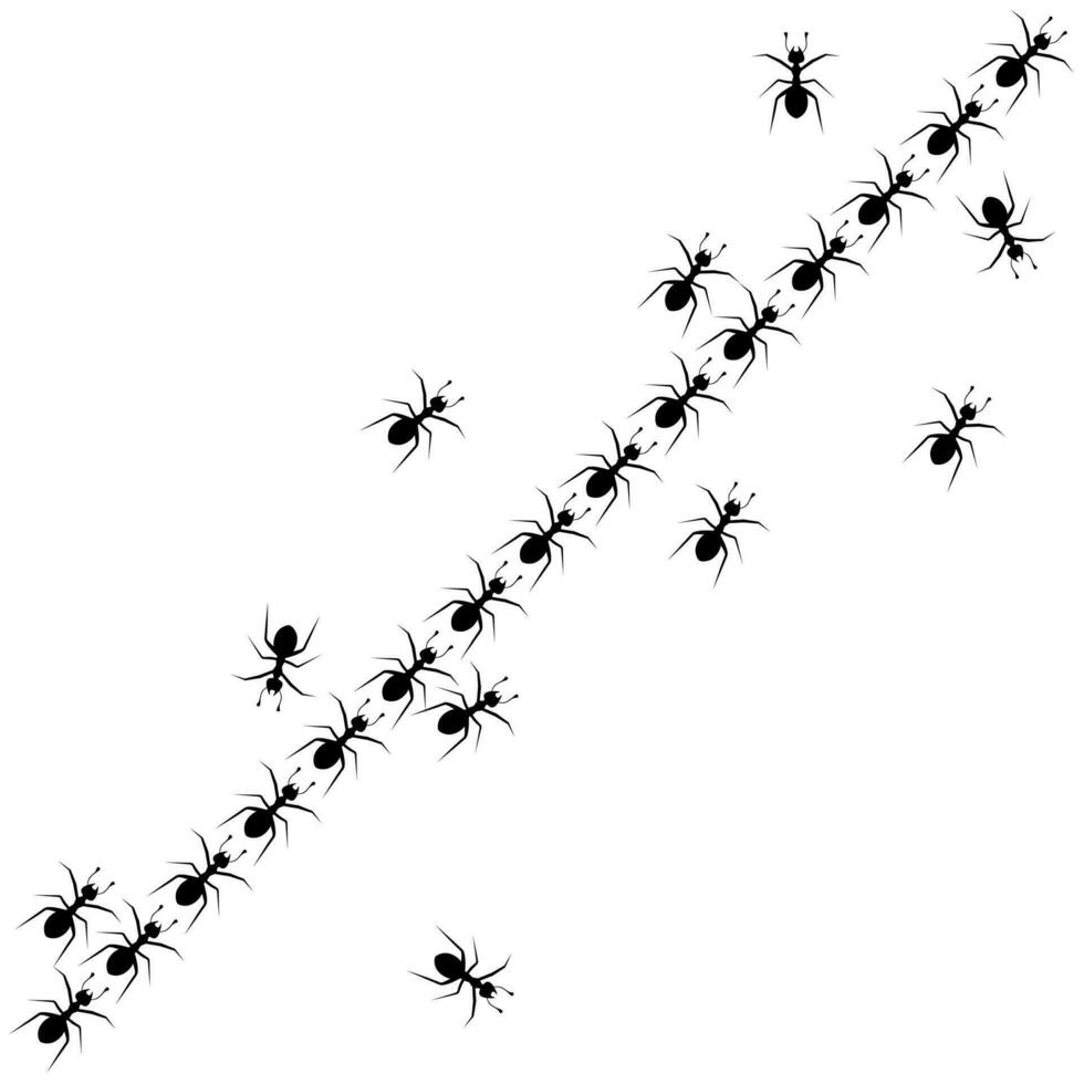 vetor ilustração do colônia do trabalhador formigas caminhando juntos em branco fundo. trilha do formigas caminhando olhando para Comida. Difícil trabalhos conceito.