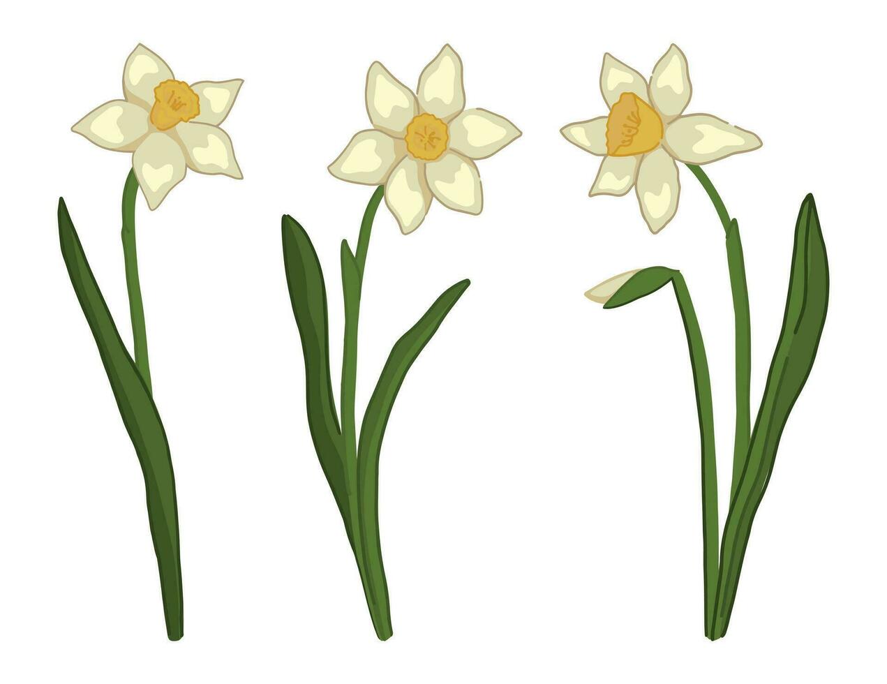 Primavera Tempo flores coleção. clipart conjunto do narciso doodle. desenho animado vetor ilustração isolado em branco.