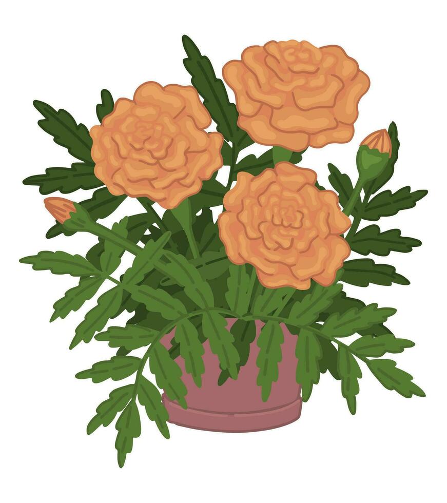 rabisco do malmequeres dentro uma Panela. Primavera Tempo flor clipart. desenho animado vetor ilustração isolado em branco fundo.