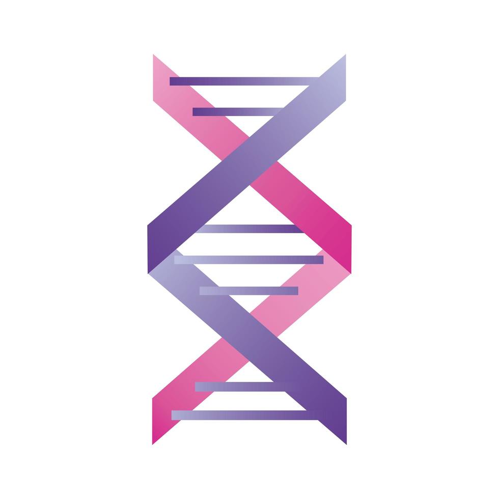 DNA roxo e rosa vetor