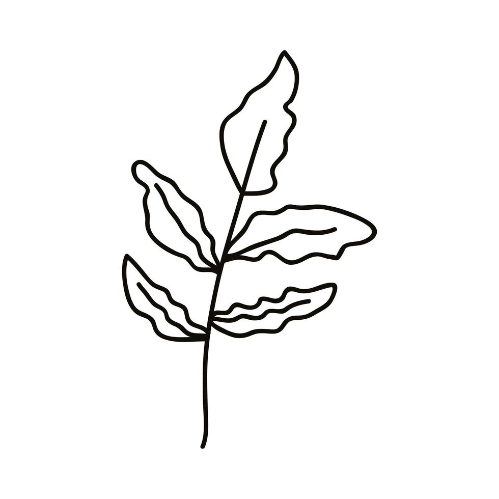 branch leafs hand draw vetor