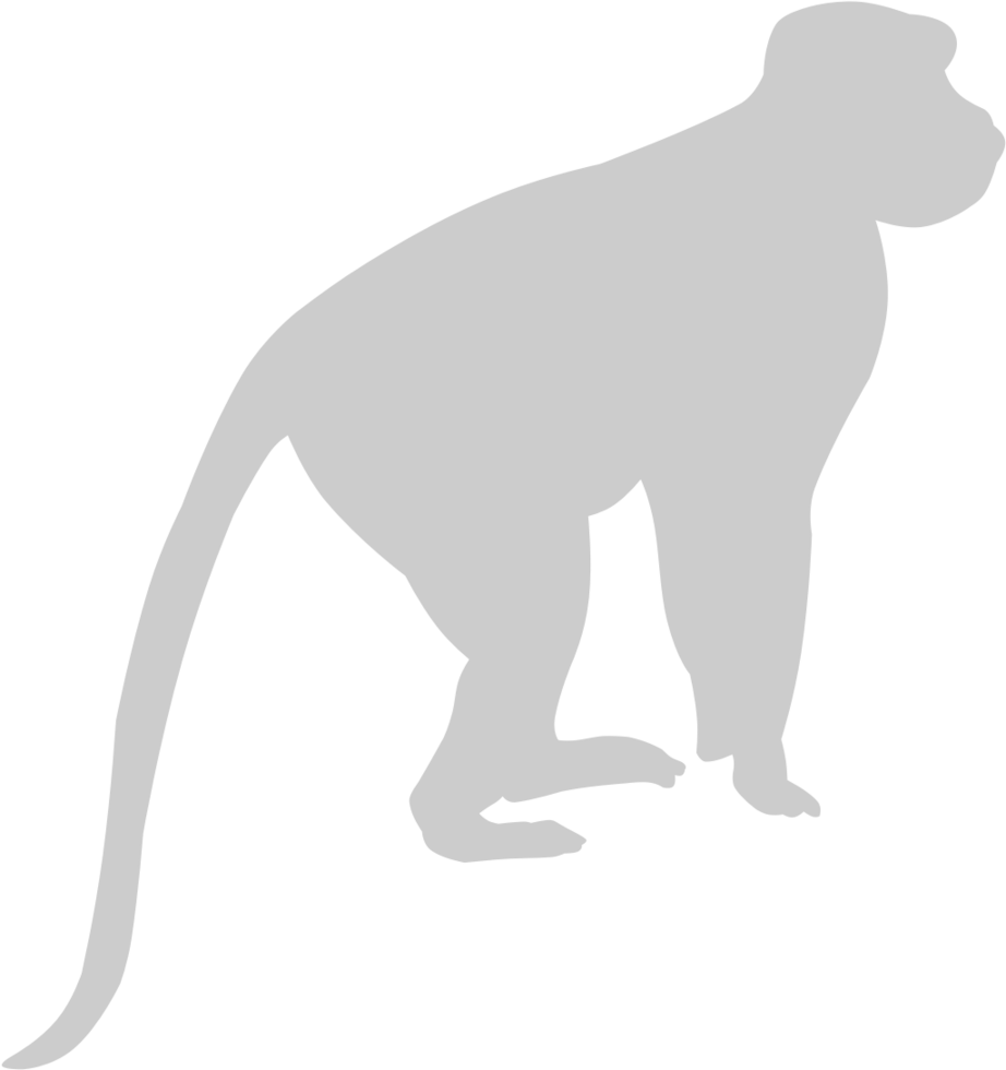 animal causas macaco vetor