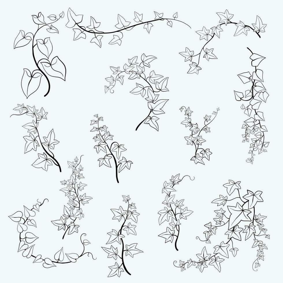 hera floral desenho coleção de design plano ornamento decorativo. vetor