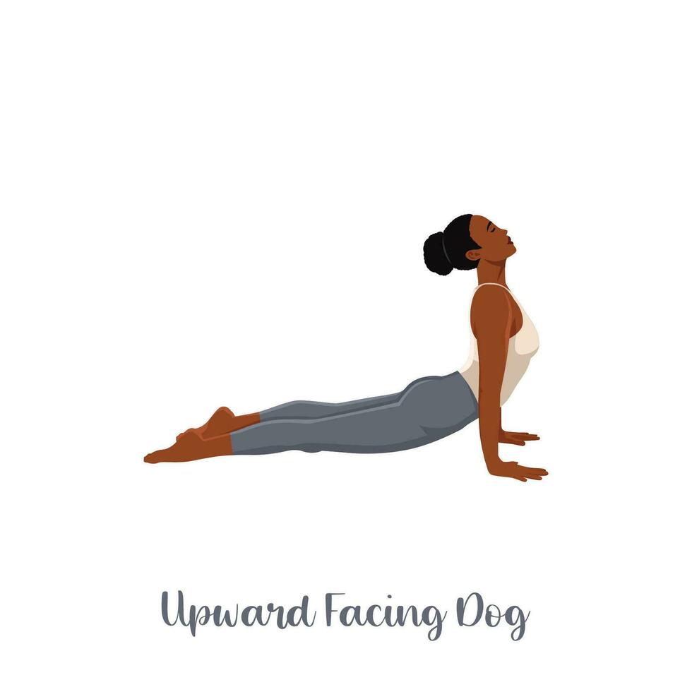 mulher praticando Urdhva mukha svanasana exercício plano vetor ilustração. ioga prática. menina fazendo para cima voltado para cachorro pose.