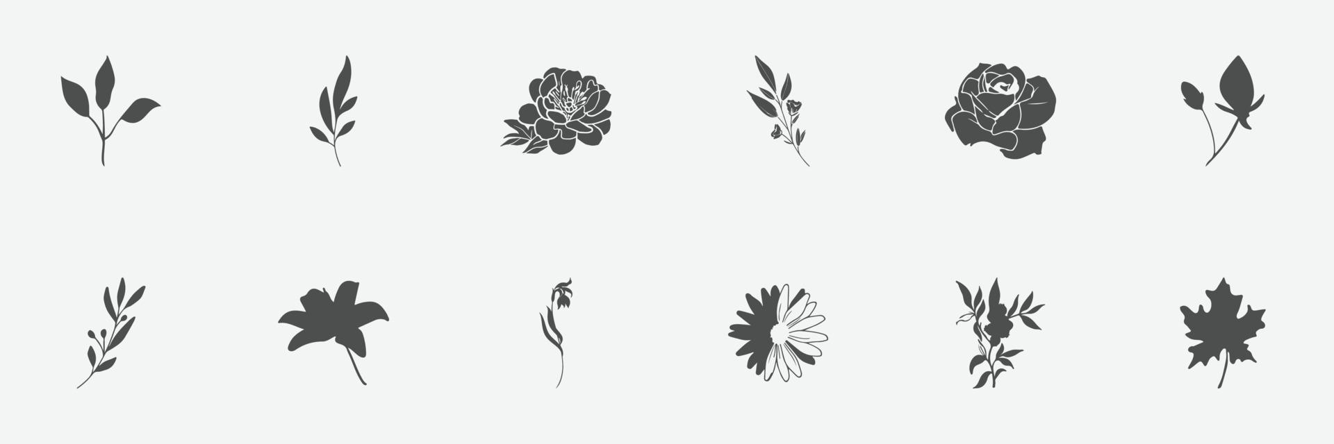 conjunto floral de silhuetas de plantas e flores vetor