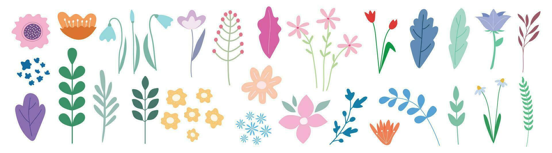 conjunto do vetor flores e galhos. flores para decoração cartões, capas.