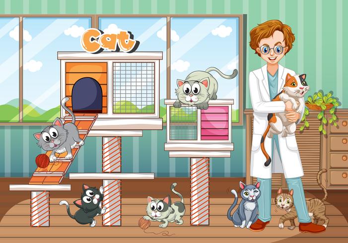 Hospital de animais com veterinário e gatos vetor