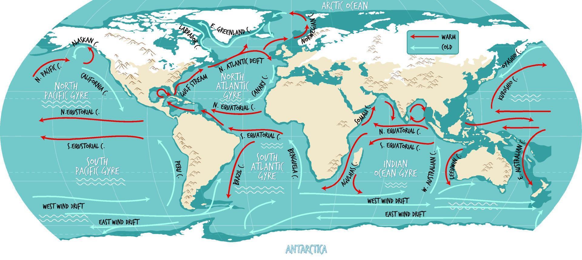 o mapa do mundo atual do oceano com nomes vetor