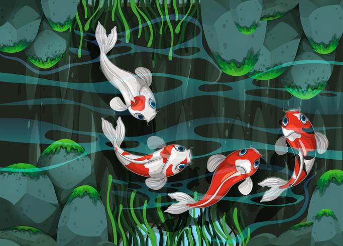 Quatro peixes nadando na lagoa vetor
